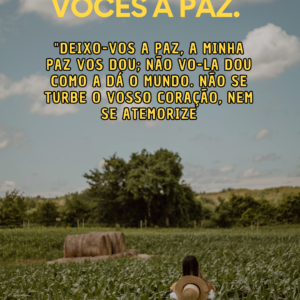 Guia Completo: Como Meditar e Ter Paz no Dia a Dia